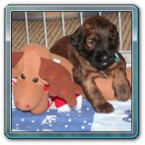 die ersten Wochen_02