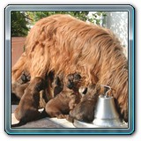 die ersten Wochen_03