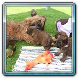 die ersten Wochen_04