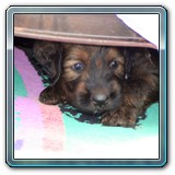 die ersten Wochen_05