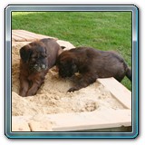 die ersten Wochen_09