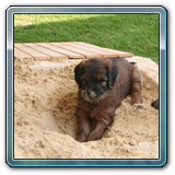 die ersten Wochen_10