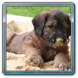 die ersten Wochen_11