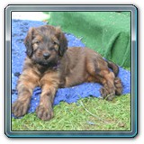 die ersten Wochen_13