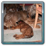 die ersten Wochen_16