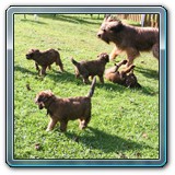 die ersten Wochen_17