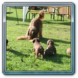 die ersten Wochen_18