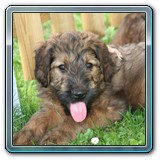 die ersten Wochen_19