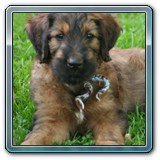 die ersten Wochen_20