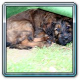 die ersten Wochen_21