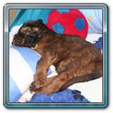 die ersten Wochen_22