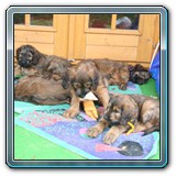 die ersten Wochen_25