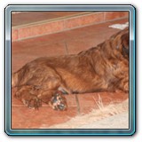 die ersten Wochen_26