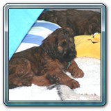 die ersten Wochen_27