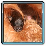 die ersten Wochen_29