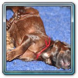 die ersten Wochen_30