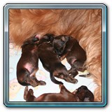 die ersten Wochen_31