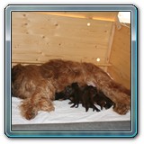 die ersten Wochen_32