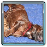 die ersten Wochen_33