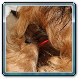 IMG_0366 - Kopie