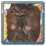 IMG_0500