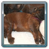 IMG_0504