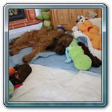 IMG_0527 - Kopie