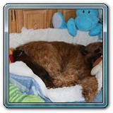 IMG_0529 - Kopie