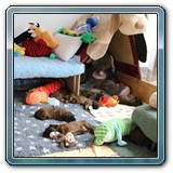 IMG_0616
