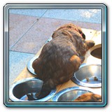 IMG_0666