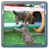 IMG_0747