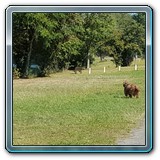 20190920_124335