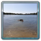 IMG-20190929-WA0037