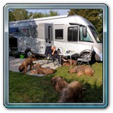 IMG-20190929-WA0048