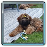 IMG-20190929-WA0054