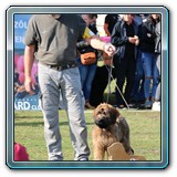IMG_6950