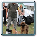 IMG_6985