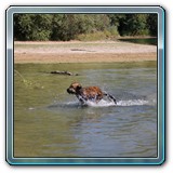 IMG_7251