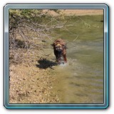 IMG_7255