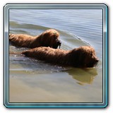 IMG_7264