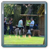 IMG_1425