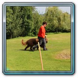 IMG_1458