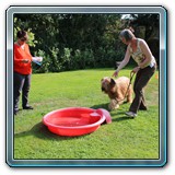 IMG_1469