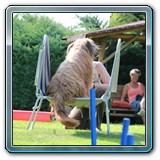 IMG_1474