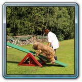 IMG__1458