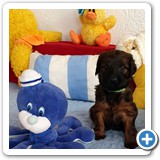 IMG-20260122-WA0002[1]