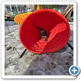 IMG-20260128-WA0006