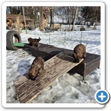 IMG-20260128-WA0007