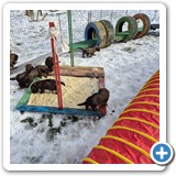 IMG-20260128-WA0013
