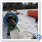 IMG-20260128-WA0015